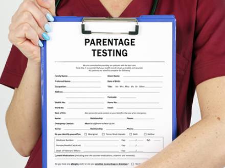 Wheaton, IL family law attorney