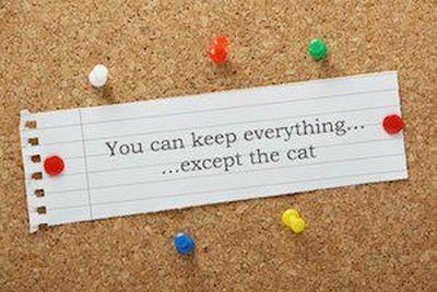 pets in divorce, Illinois divorce lawyer, division of property, pet custody, Illinois divorce attorney