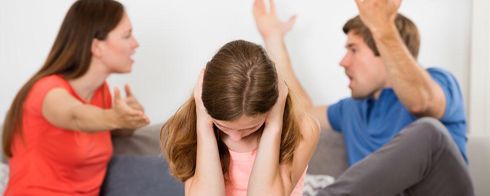 Wheaton divorce attorney addictions mental illness stalking harassment